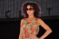 Catwalk   087